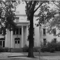 Fulton Terrace: Photo 7