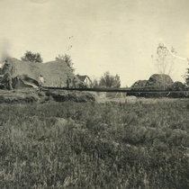 Stolns Family Virtual Collection: Threshing, Photo 1