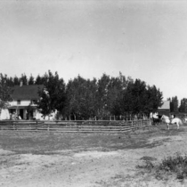 Farms unidentified: Photo 6