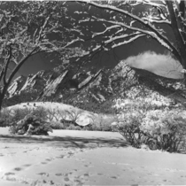 Chautauqua structures in winter, 1948-[1979]: Photo 8