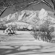 Chautauqua structures in winter, 1948-[1979]: Photo 1