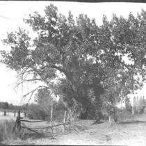 Creek and bridge: Photo 1
