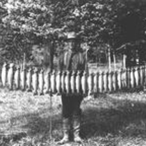 Trout photographs 1910-1920