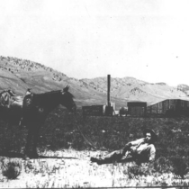 Boulder oil fields