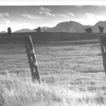 Fences in fields: Photo 2
