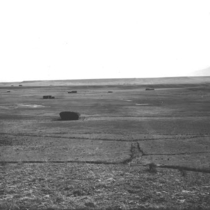 Plains view