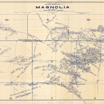 Drumm's mining map of Magnolia and vicinity