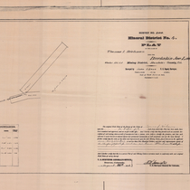 Plat of the claim of Thomas L. Richman, upon the Buckskin Joe lode. 1876