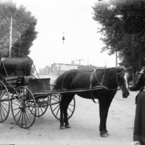 Buggies in town: Photo 4 (S-2854)
