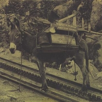 Donkey trains and pack donkeys: Photo 7