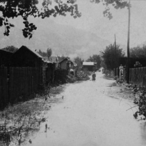 Flood of 1894 looking west: Photo 2