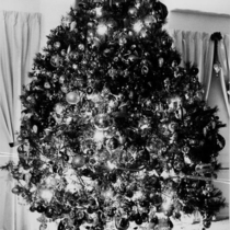 Christmas season, 1967-1968: 222-3-13 Photo 4