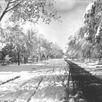 Boulder streets with snow: Photo 2