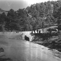 Chapman Drive bridge construction