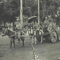 Floral Parade, 7 July 1905: Photo 5