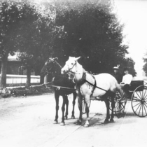 Buggies in town: Photo 11 (S-2870)