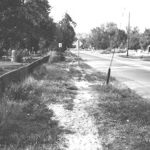 General municipal election, 1963 Nov. 5: Photo 9