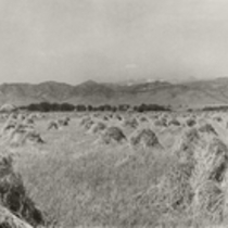 Agriculture