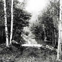 Dirt roads around Allenspark: Photo 1