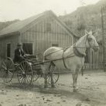 Rose and Pulliam Family Virtual Photograph Collection