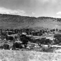 Lyons