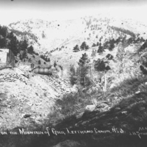 Nugget Mine (Left Hand Canyon, Colo.)
