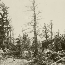 Oriental Mine near Sugarloaf Colorado: Photo 2