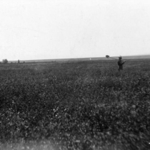 Agriculture