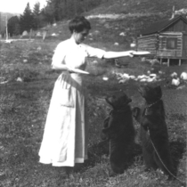 Cub bears at Stapp Lakes Lodge photograph, 1912