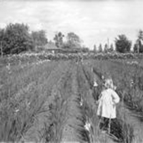 Long's Gardens