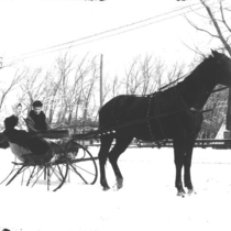 One-horse sleighs: Photo 2 (S-2706)