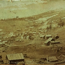 Ward views, [1884-1896]: Photo 5