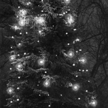 Christmas season, 1965-1966: 222-2-68 Photo 4