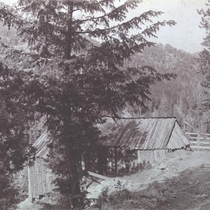 Wild Tiger Mine near Sugarloaf, Colorado [ca. 1898]