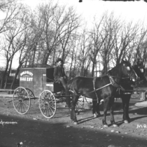 Delivery wagons bakery: Photo 2 (S-2673)