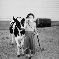 Agriculture Livestock - Cattle: Photo 1