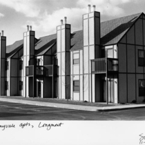 Longmont homes and apartment building: Photo 6