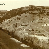 Cardinal, Colo