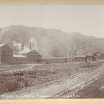 Delano Mining and Milling Company (Boulder, Colo.)