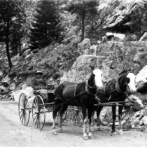 Two-passenger wagons in the mountains: Photo 3 (S-2720)