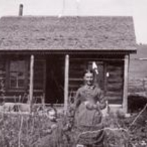 Gould Virtual Collection