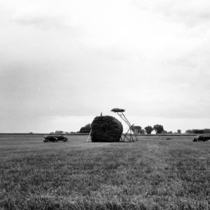 Farms
