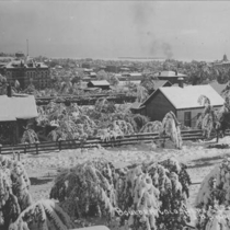 Boulder from 8th and Marine Streets after snowstorm of September, 22, 1895 photographs, 1895