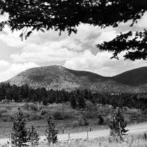 Allenspark scenic views: Photo 3