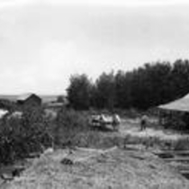 Farms