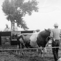 Agriculture