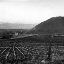 Valmont brick yards, 1936-1957: Photo 2