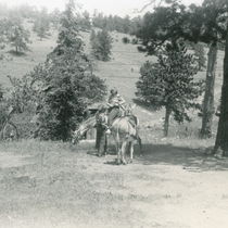 Devine-Rosser Family Virtual Collection: Allenspark Stable, Photo 2