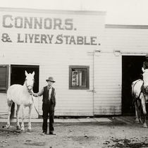 Louisville photographs: Jas. Connors stable (Pg. 7)
