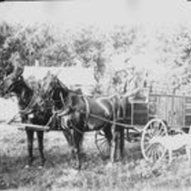 Delivery wagons